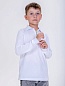 Детская футболка "Поло Молния" длинный рукав